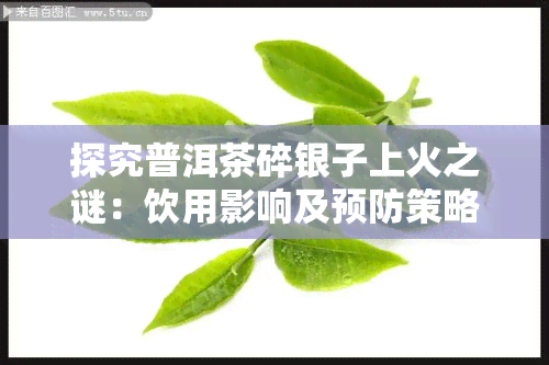 探究普洱茶碎银子上火之谜：饮用影响及预防策略