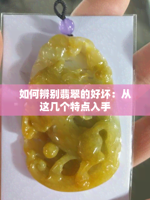 如何辨别翡翠的好坏：从这几个特点入手