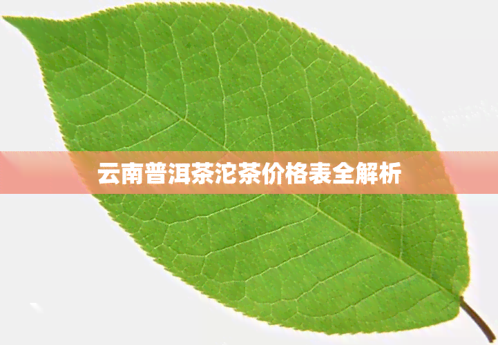 云南普洱茶沱茶价格表全解析