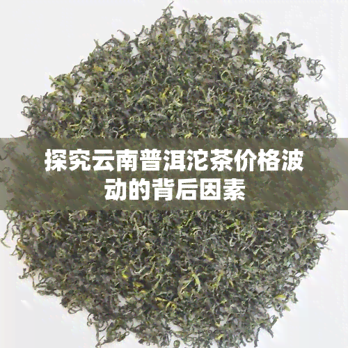 探究云南普洱沱茶价格波动的背后因素