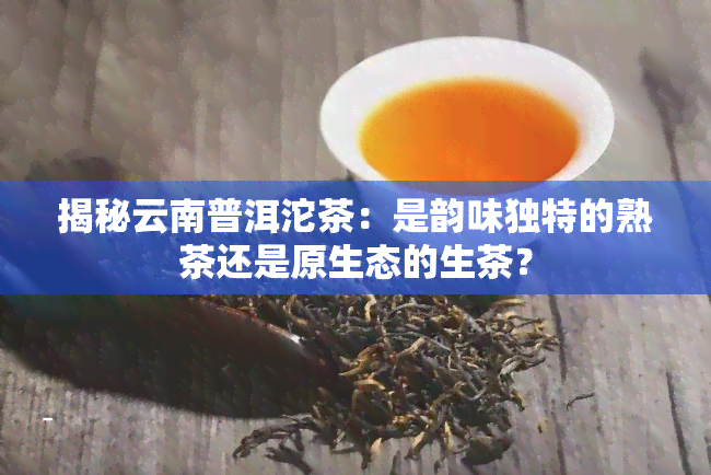 揭秘云南普洱沱茶：是韵味独特的熟茶还是原生态的生茶？