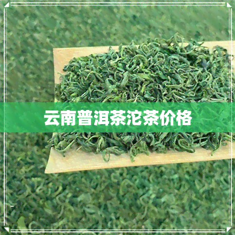 云南普洱茶沱茶价格