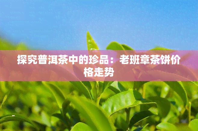 探究普洱茶中的珍品：老班章茶饼价格走势