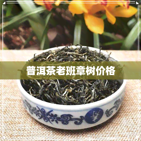 普洱茶老班章树价格