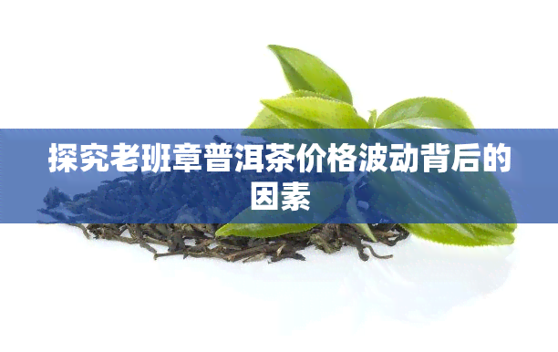 探究老班章普洱茶价格波动背后的因素