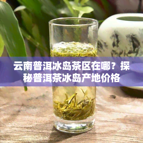 云南普洱冰岛茶区在哪？探秘普洱茶冰岛产地价格