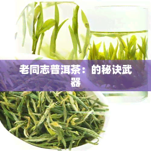 老同志普洱茶：的秘诀武器