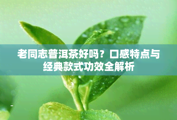 老同志普洱茶好吗？口感特点与经典款式功效全解析