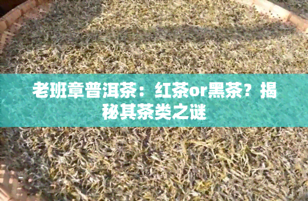 老班章普洱茶：红茶or黑茶？揭秘其茶类之谜