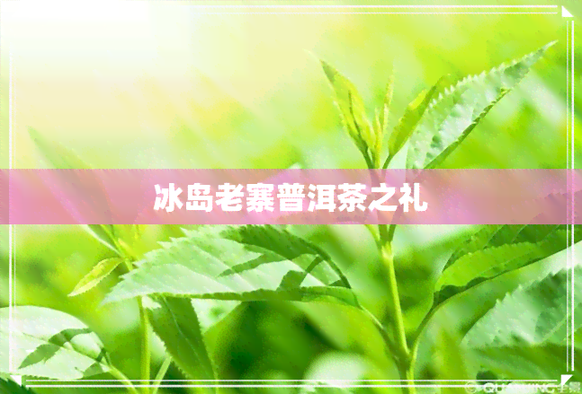 冰岛老寨普洱茶之礼