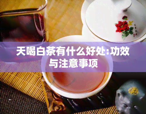 天喝白茶有什么好处:功效与注意事项