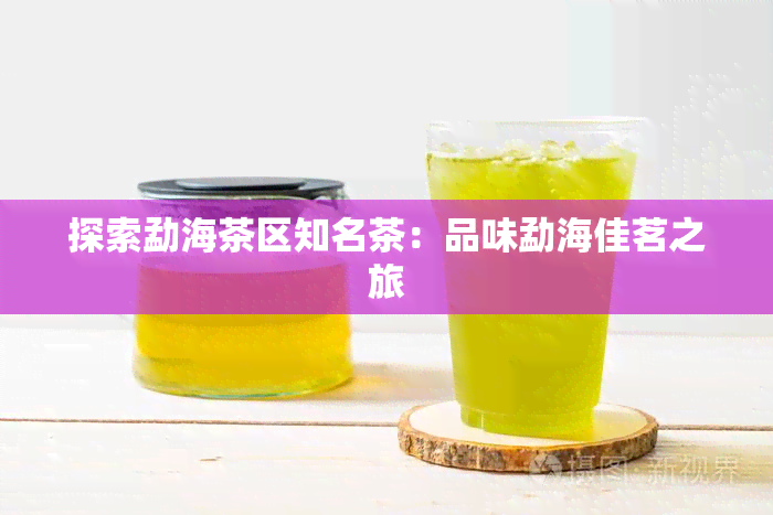 探索勐海茶区知名茶：品味勐海佳茗之旅