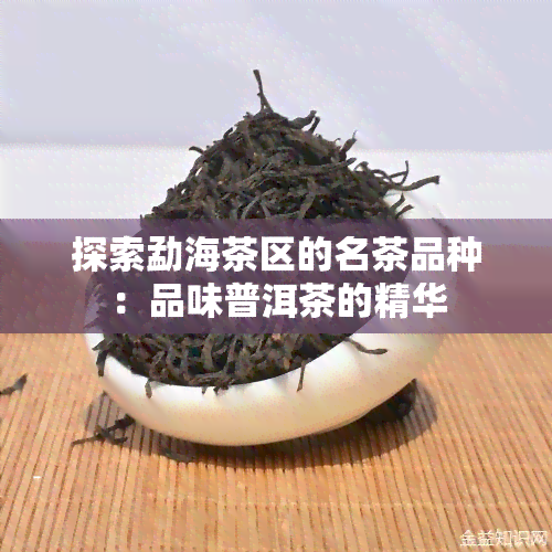 探索勐海茶区的名茶品种：品味普洱茶的精华