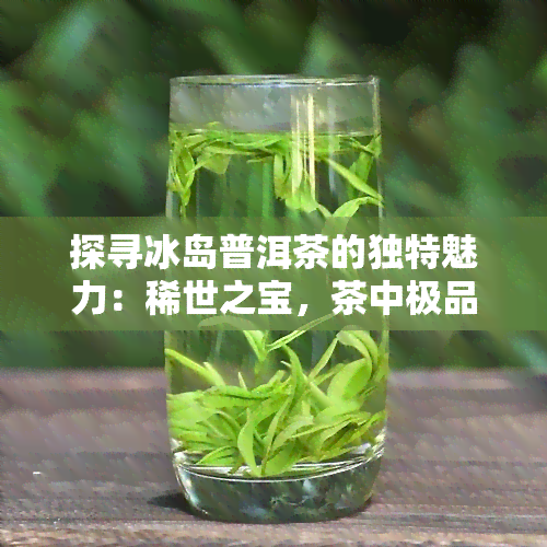 探寻冰岛普洱茶的独特魅力：稀世之宝，茶中极品