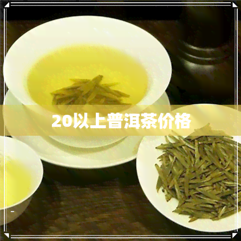 20以上普洱茶价格