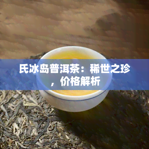 氏冰岛普洱茶：稀世之珍，价格解析