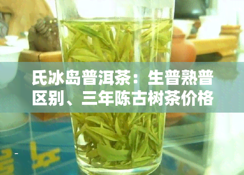 氏冰岛普洱茶：生普熟普区别、三年陈古树茶价格评测