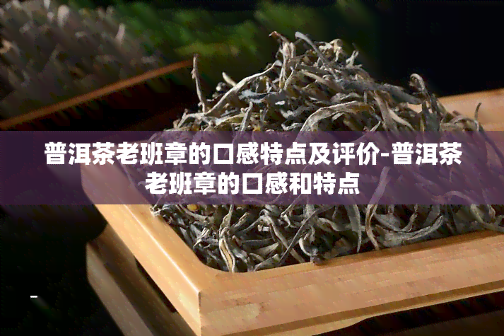 普洱茶老班章的口感特点及评价-普洱茶老班章的口感和特点