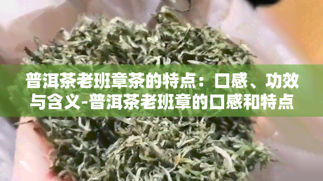 普洱茶老班章茶的特点：口感、功效与含义-普洱茶老班章的口感和特点