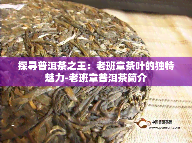 探寻普洱茶之王：老班章茶叶的独特魅力-老班章普洱茶简介