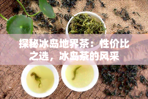 探秘冰岛地界茶：性价比之选，冰岛茶的风采