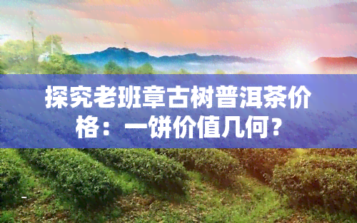 探究老班章古树普洱茶价格：一饼价值几何？