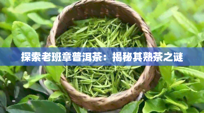 探索老班章普洱茶：揭秘其熟茶之谜