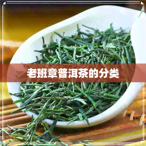 老班章普洱茶的分类