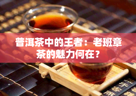 普洱茶中的王者：老班章茶的魅力何在？