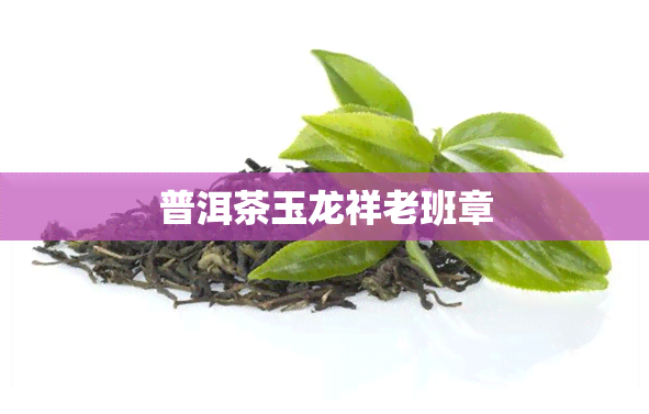 普洱茶玉龙祥老班章