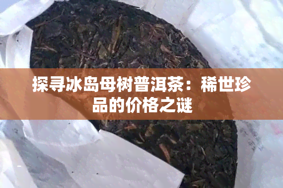 探寻冰岛母树普洱茶：稀世珍品的价格之谜