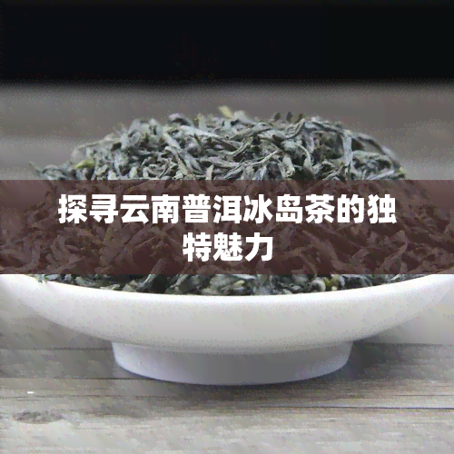 探寻云南普洱冰岛茶的独特魅力