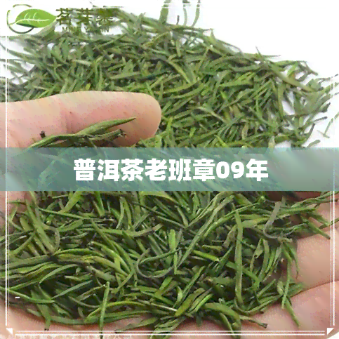 普洱茶老班章09年