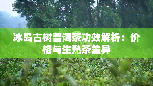 冰岛古树普洱茶功效解析：价格与生熟茶差异