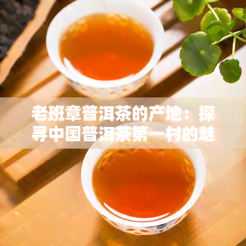 老班章普洱茶的产地：探寻中国普洱茶之一村的魅力