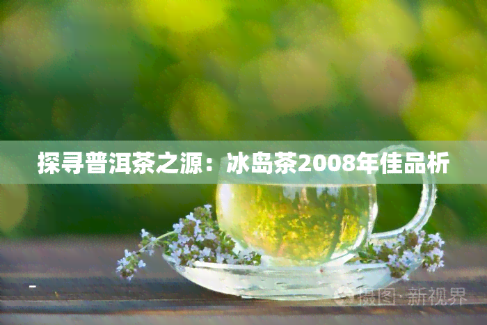 探寻普洱茶之源：冰岛茶2008年佳品析