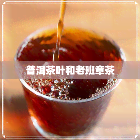 普洱茶叶和老班章茶