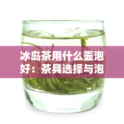 冰岛茶用什么壶泡好：茶具选择与泡茶方法指南