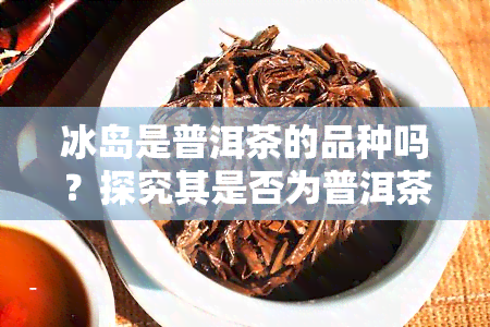 冰岛是普洱茶的品种吗？探究其是否为普洱茶的一种及产地