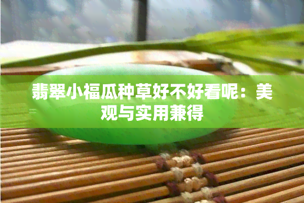 翡翠小福瓜种草好不好看呢：美观与实用兼得