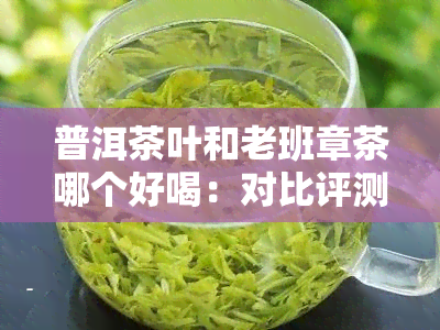 普洱茶叶和老班章茶哪个好喝：对比评测