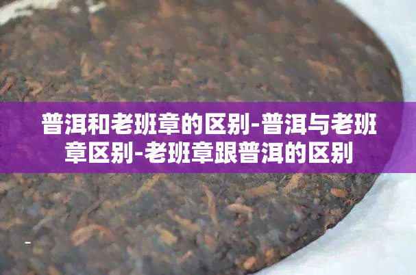 普洱和老班章的区别-普洱与老班章区别-老班章跟普洱的区别