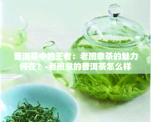 普洱茶中的王者：老班章茶的魅力何在？-老班章的普洱茶怎么样