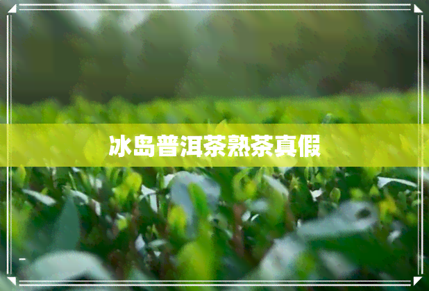 冰岛普洱茶熟茶真假