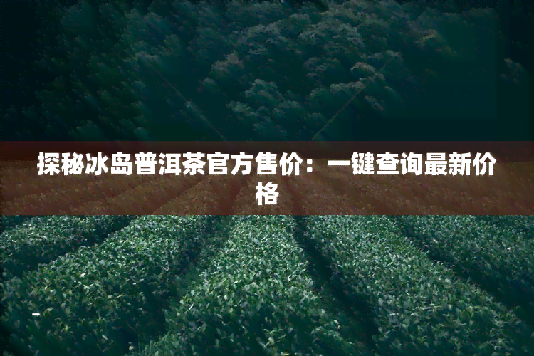 探秘冰岛普洱茶官方售价：一键查询最新价格