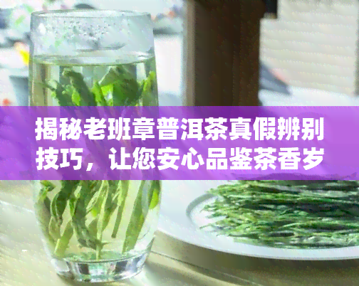 揭秘老班章普洱茶真假辨别技巧，让您安心品鉴茶香岁月