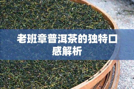 老班章普洱茶的独特口感解析