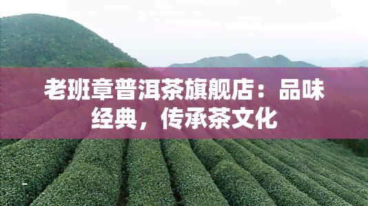 老班章普洱茶旗舰店：品味经典，传承茶文化