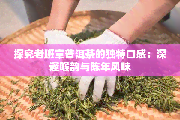 探究老班章普洱茶的独特口感：深邃喉韵与陈年风味