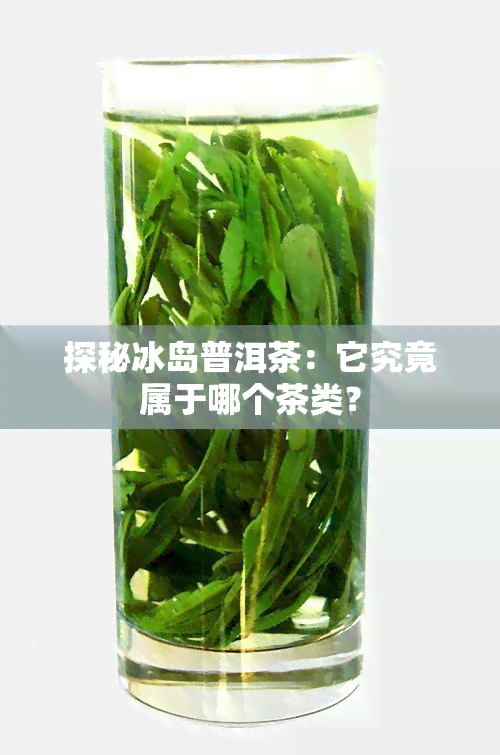 探秘冰岛普洱茶：它究竟属于哪个茶类？